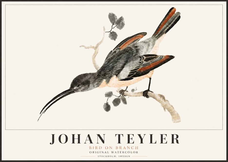 Johan Teyler Bird on Branch II No5 - Póster