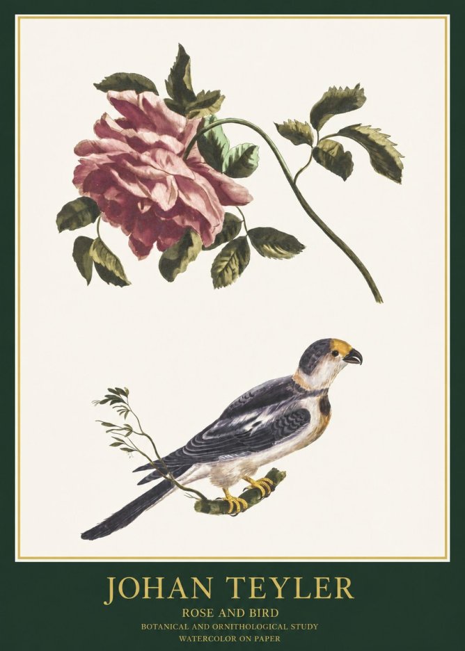 Johan Teyler Rose and Bird I No1 - Póster
