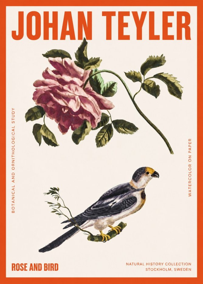 Johan Teyler Rose and Bird I No2 - Póster