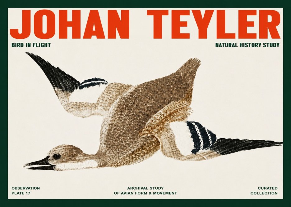 Johan Teyler Bird in Flight II No2 - Póster