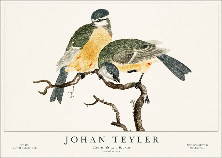 Johan Teyler Two Birds on a Branch No1 - Póster