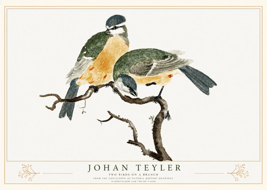 Johan Teyler Two Birds on a Branch No2 - Póster
