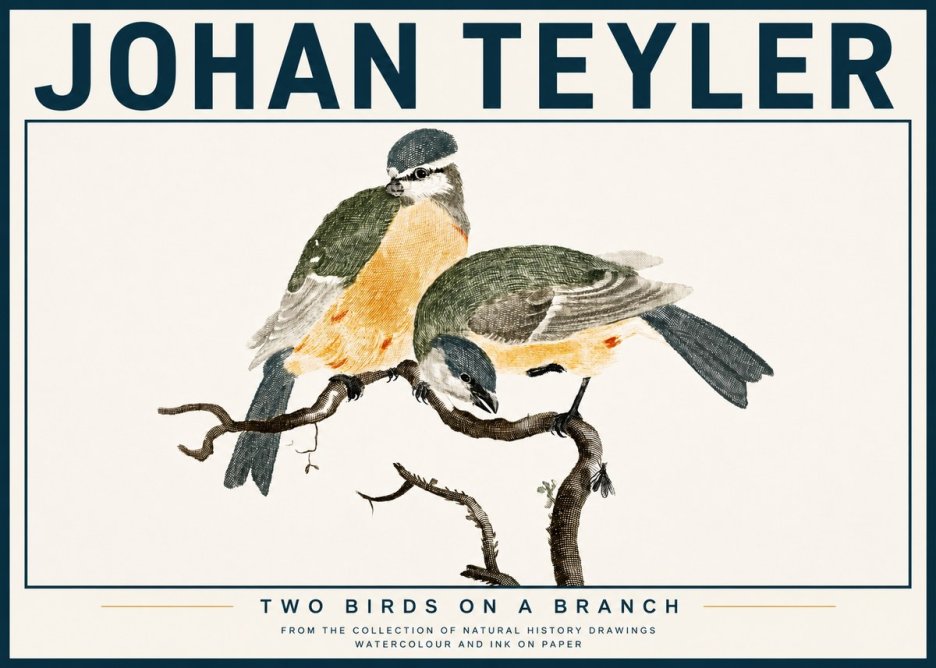 Johan Teyler Two Birds on a Branch No4 - Póster