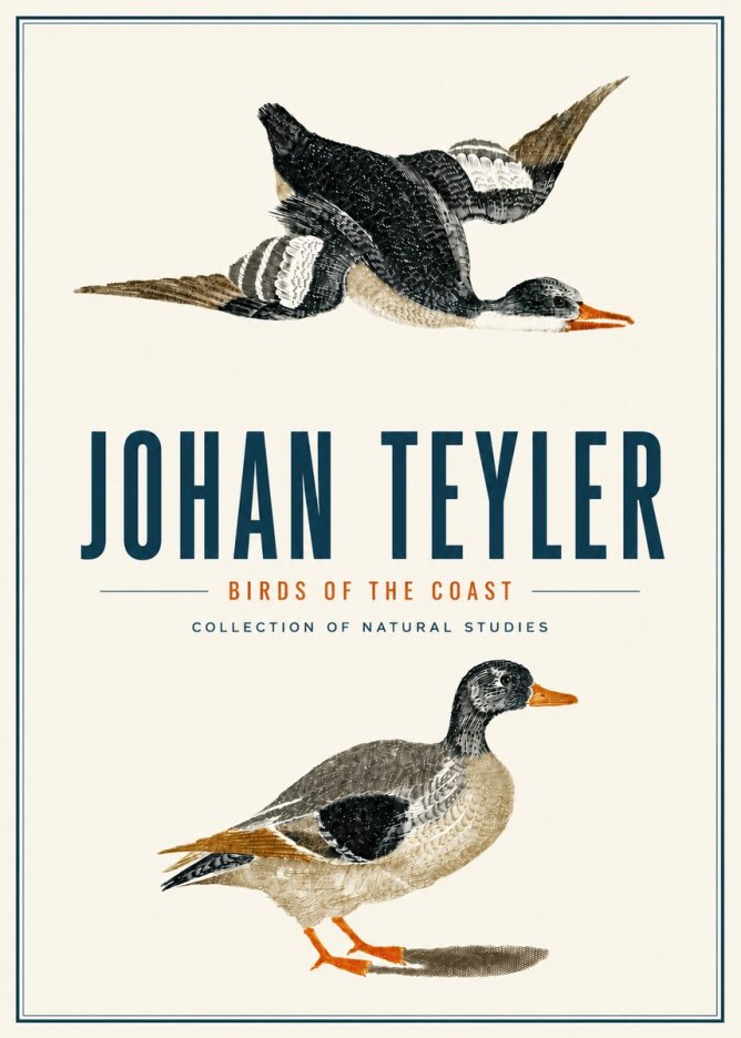 Johan Teyler Birds of the Coast No4 - Póster