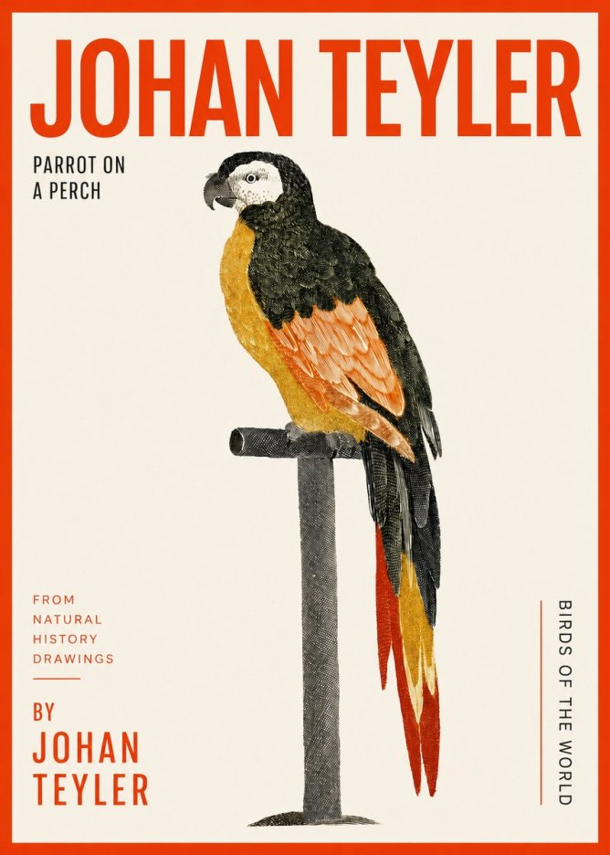 Johan Teyler Parrot on a Perch No2 - Póster