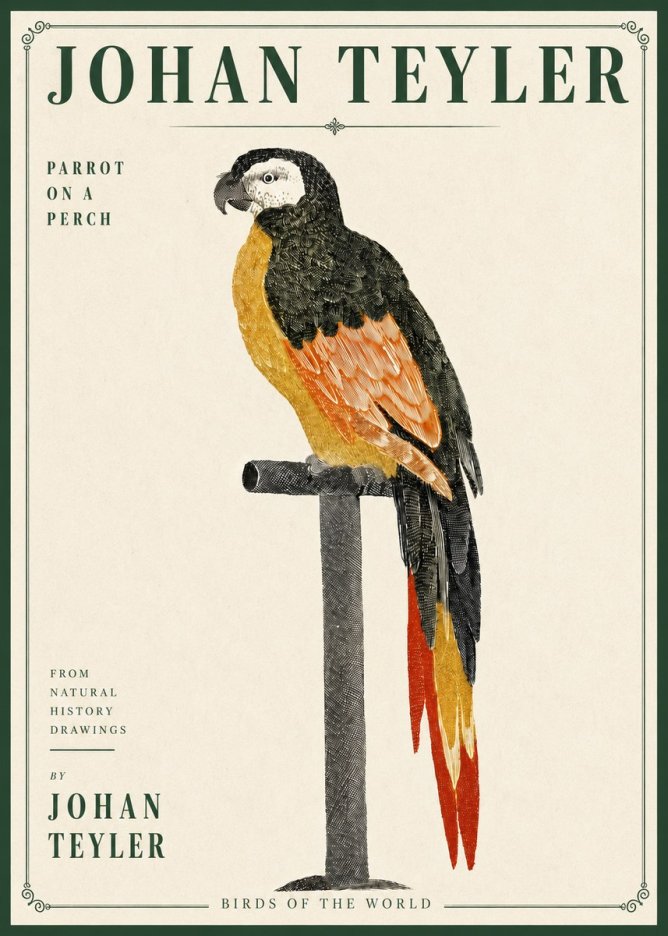 Johan Teyler Parrot on a Perch No4 - Póster