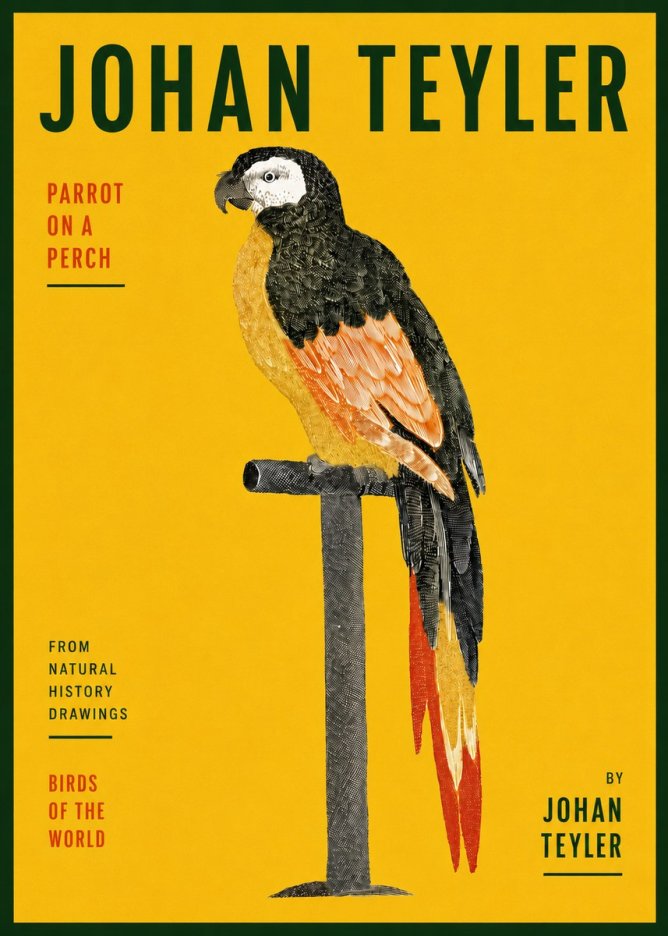 Johan Teyler Parrot on a Perch No5 - Póster