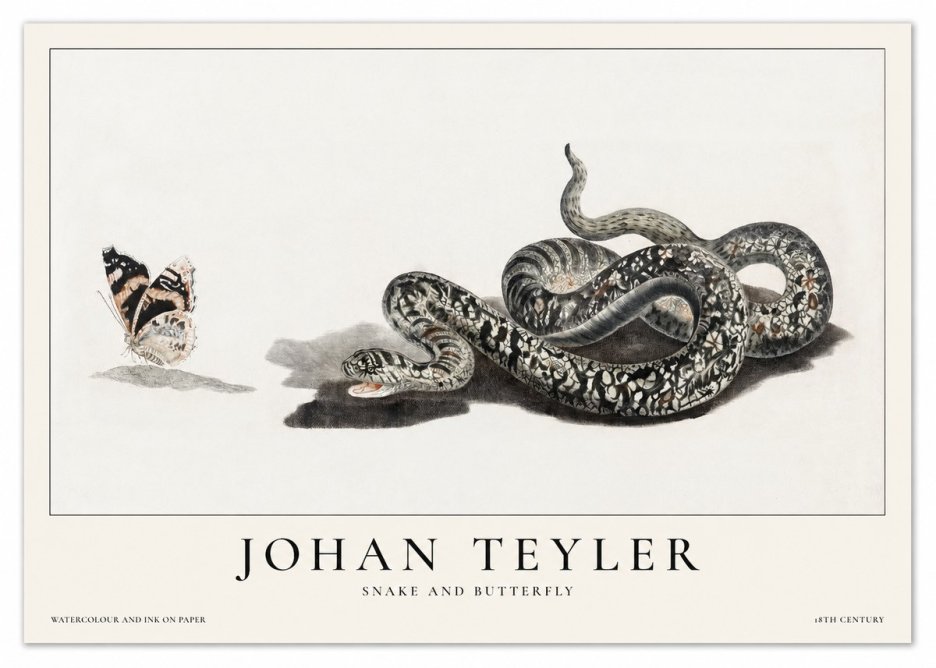 Johan Teyler Snake and Butterfly No1 - Póster