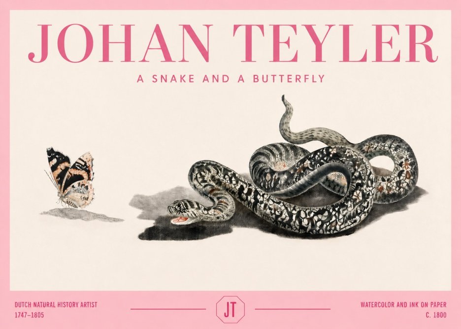 Johan Teyler Snake and Butterfly No4 - Póster