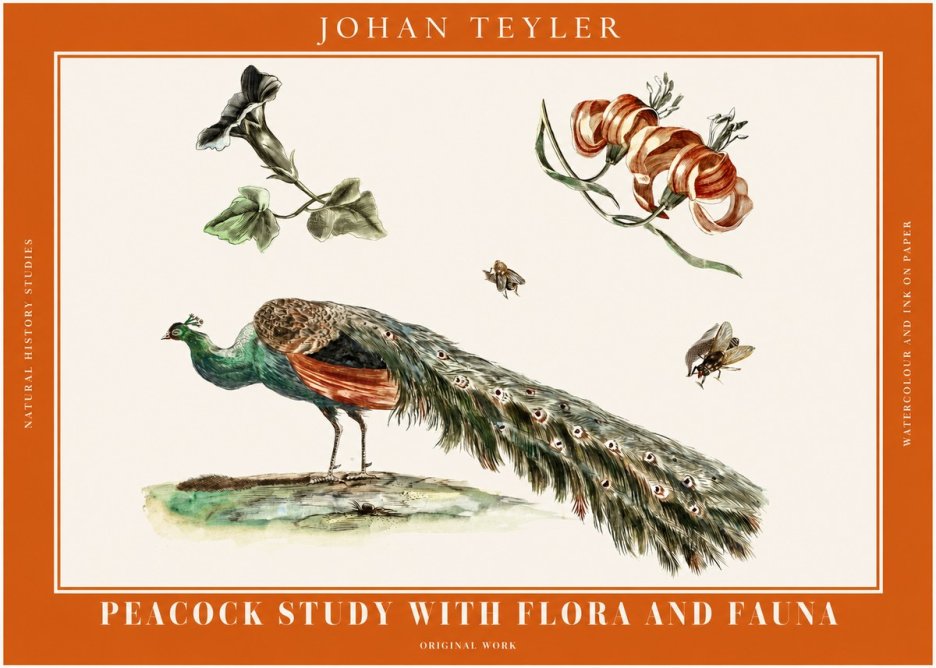 Johan Teyler Peacock Study with Flora and Fauna No2 - Póster