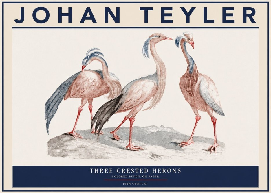 Johan Teyler Three Crested Herons No3 - Póster