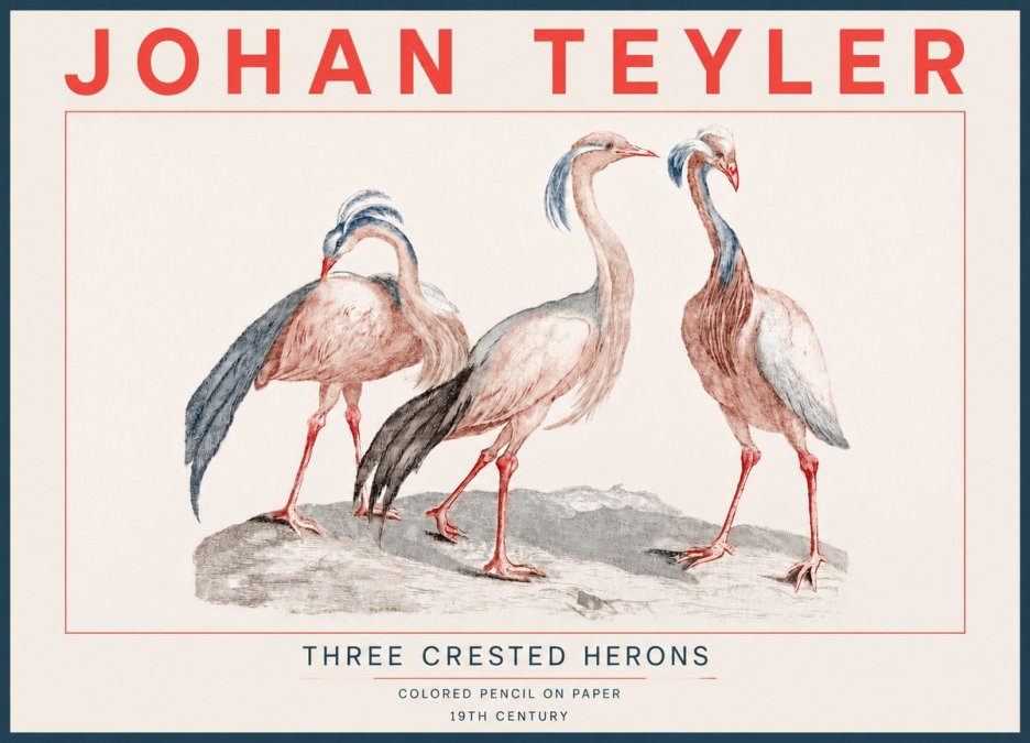 Johan Teyler Three Crested Herons No4 - Póster