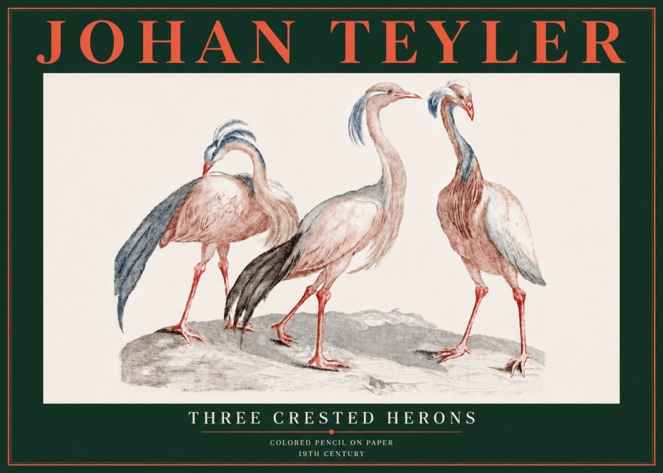 Johan Teyler Three Crested Herons No5 - Póster