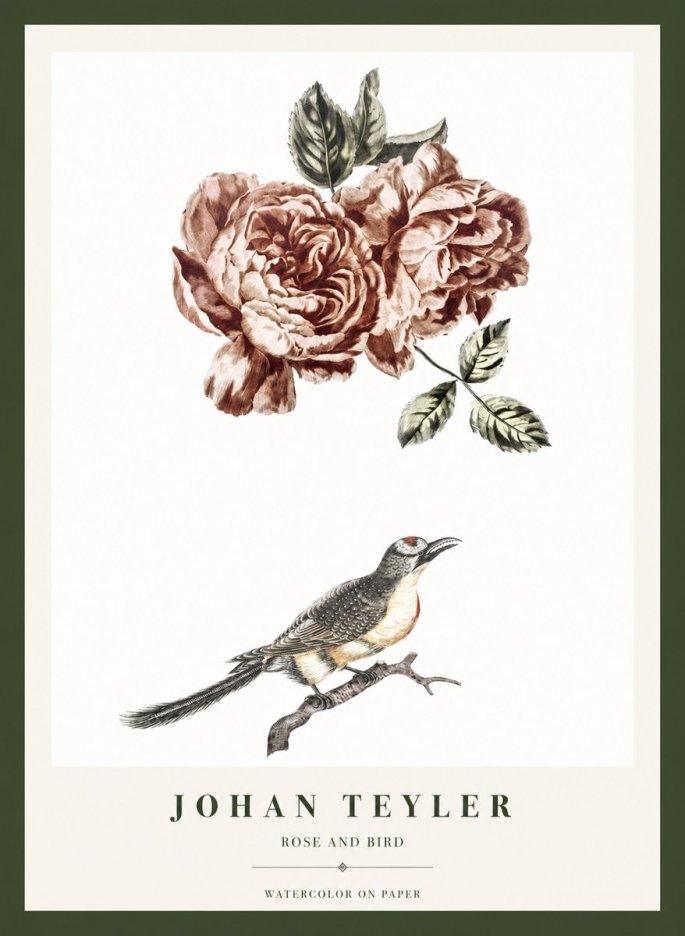 Johan Teyler Rose and Bird II No1 - Póster