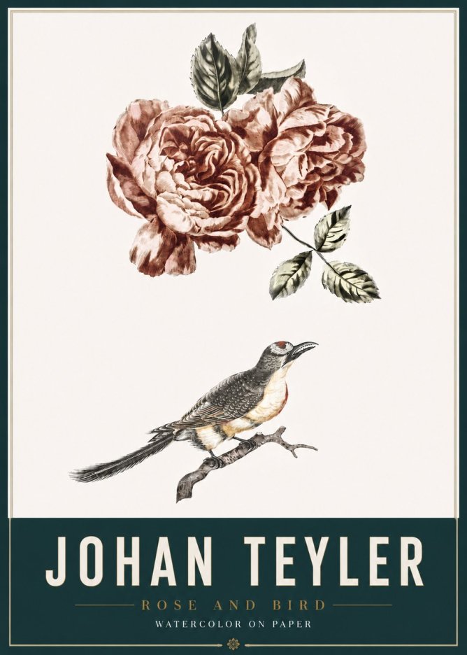 Johan Teyler Rose and Bird II No3 - Póster