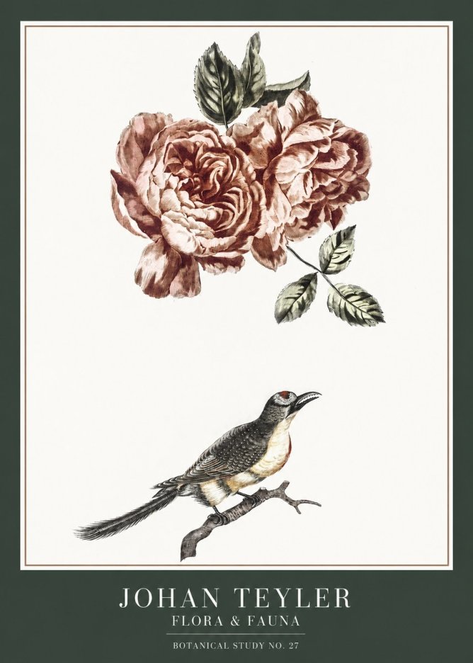 Johan Teyler Rose and Bird II No6 - Póster
