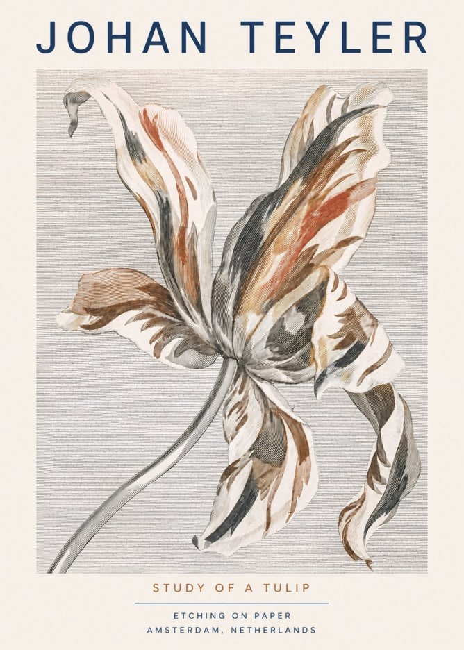 Johan Teyler Study of a Tulip No3 - Póster