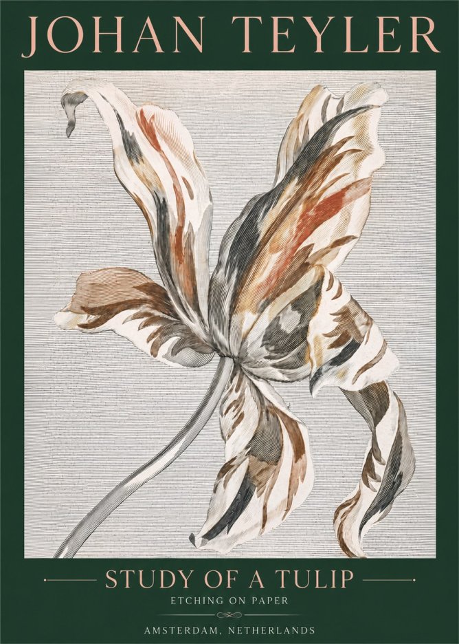 Johan Teyler Study of a Tulip No4 - Póster