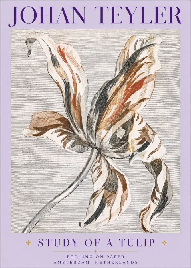Johan Teyler Study of a Tulip No6 - Póster