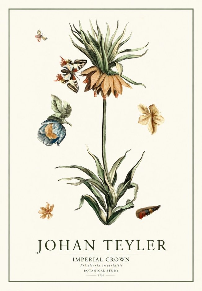 Johan Teyler Crown Imperial No2 - Póster