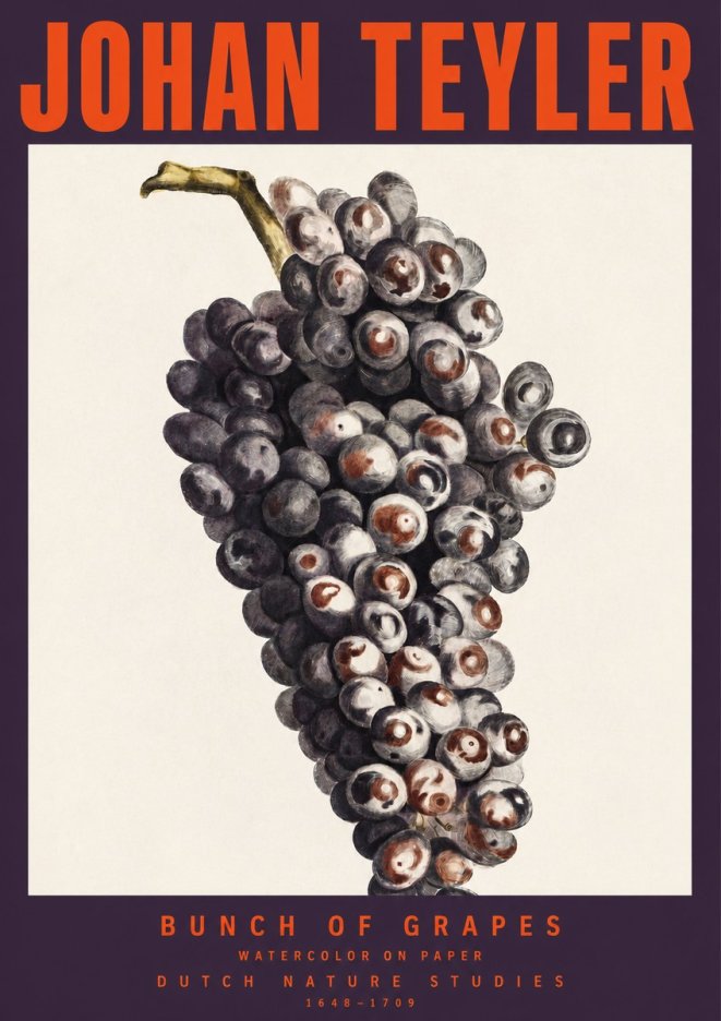 Johan Teyler Bunch of Grapes No2 - Póster