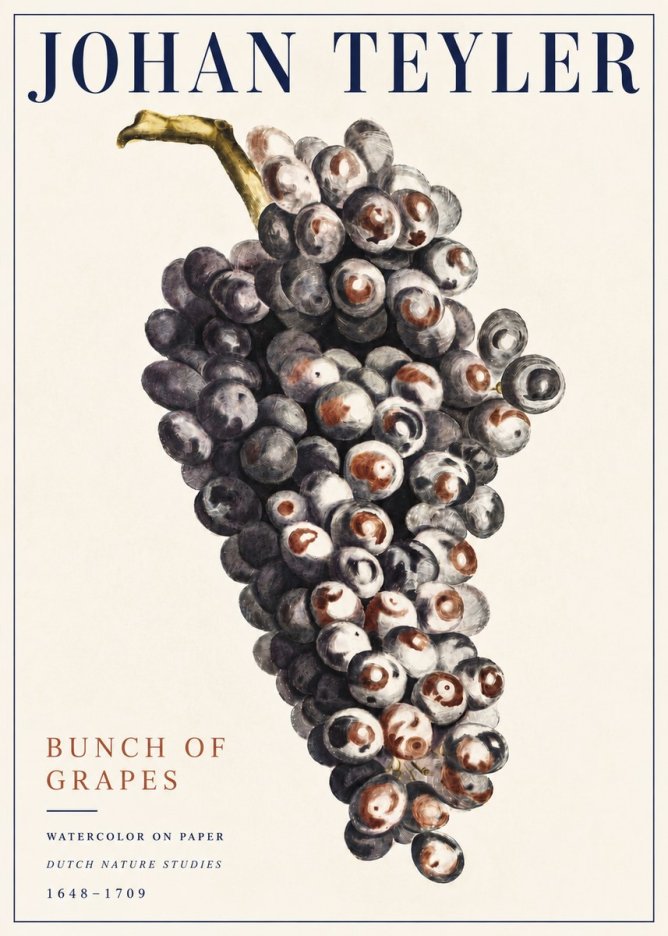 Johan Teyler Bunch of Grapes No5 - Póster