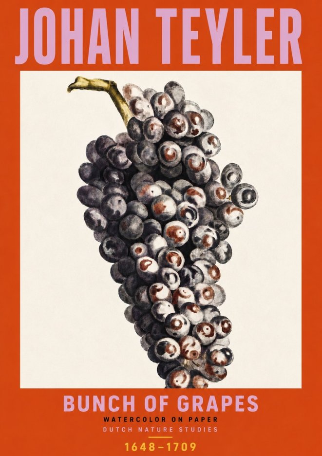 Johan Teyler Bunch of Grapes No6 - Póster