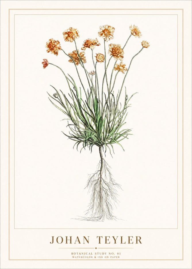 Johan Teyler Botanical Study No. 01 No1 - Póster