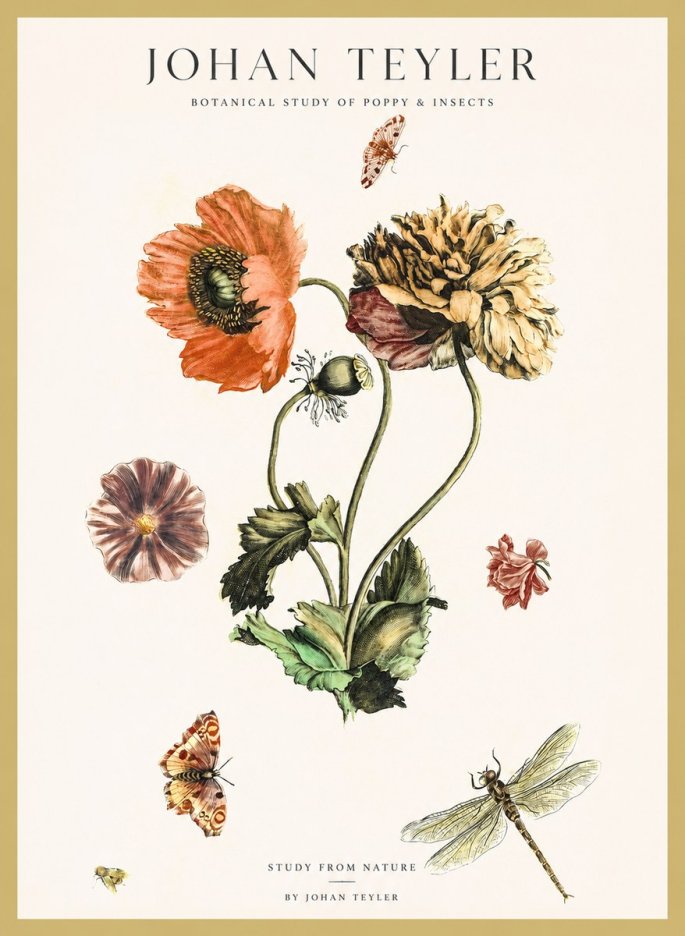 Johan Teyler Botanical Study of Poppy & Insects No1 - Póster
