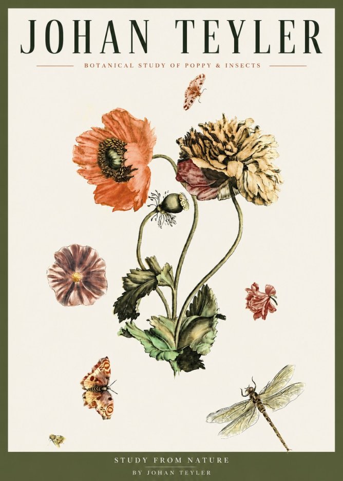 Johan Teyler Botanical Study of Poppy & Insects No3 - Póster