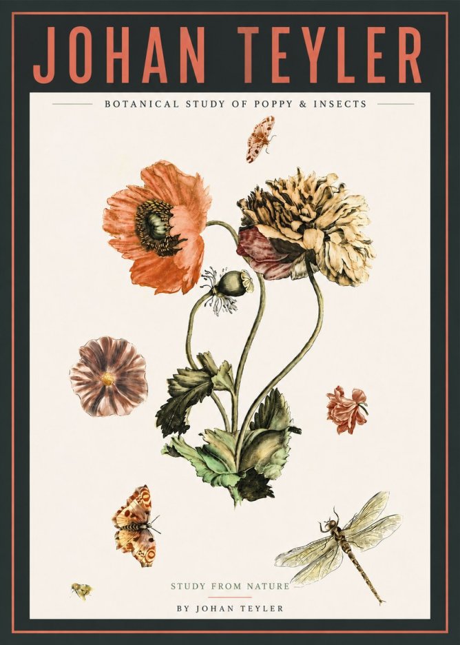 Johan Teyler Botanical Study of Poppy & Insects No4 - Póster