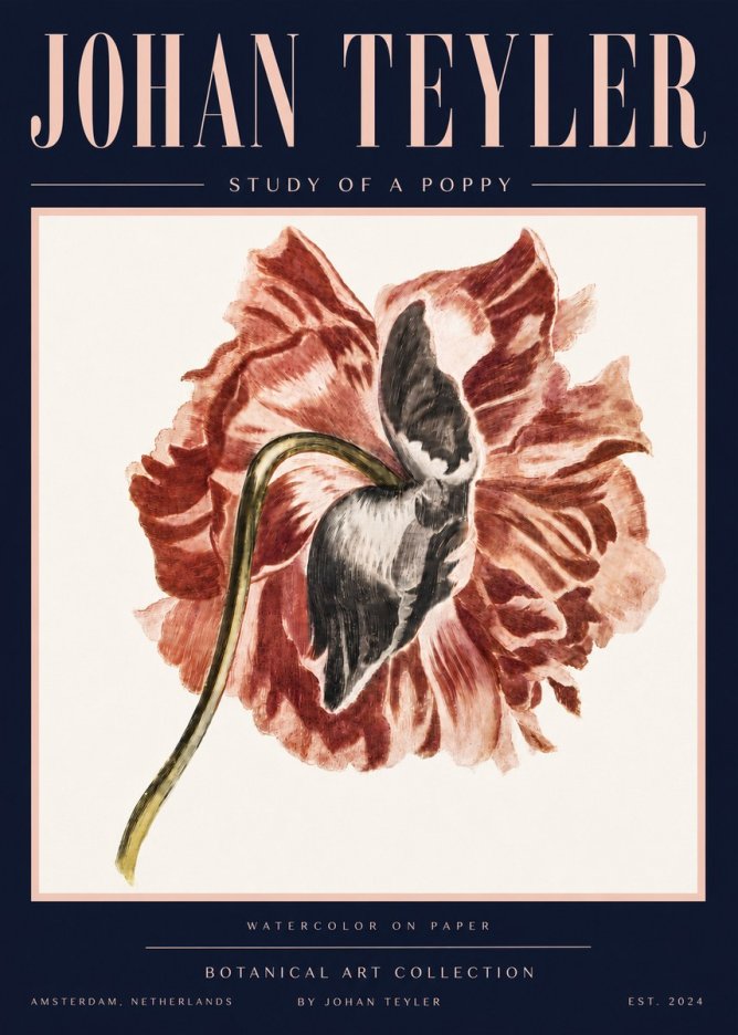 Johan Teyler Study of a Poppy No4 - Póster