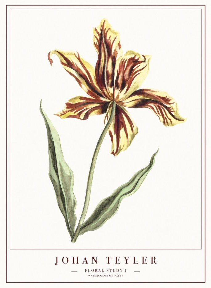 Johan Teyler Floral Study I No1 - Póster