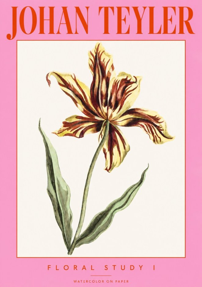 Johan Teyler Floral Study I No3 - Póster
