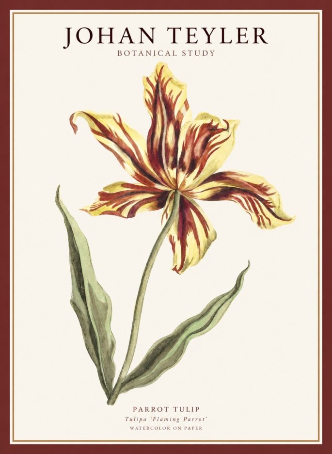 Johan Teyler Floral Study I No5 - Póster