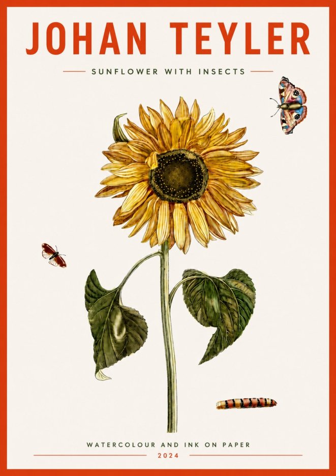 Johan Teyler Sunflower with Insects No4 - Póster