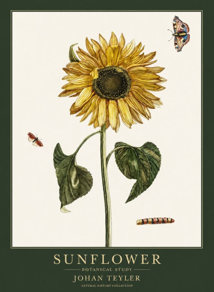 Johan Teyler Sunflower with Insects No6 - Póster
