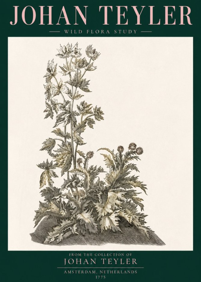 Johan Teyler Wild Flora Study No3 - Póster