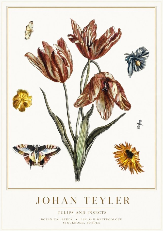 Johan Teyler Tulips and Insects No1 - Póster