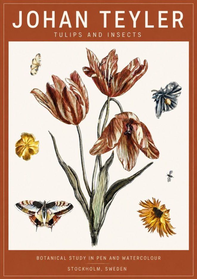 Johan Teyler Tulips and Insects No4 - Póster