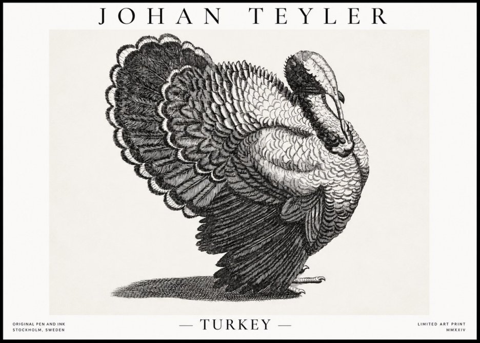 Johan Teyler Turkey No1 - Póster
