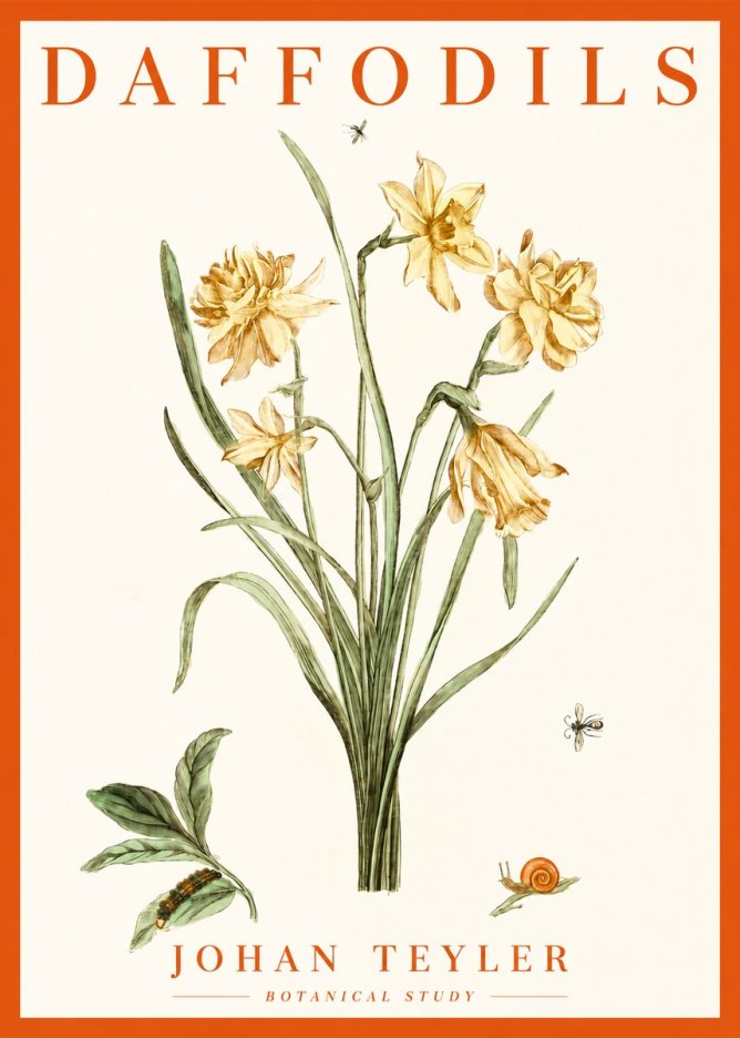 Johan Teyler Daffodils No2 - Póster