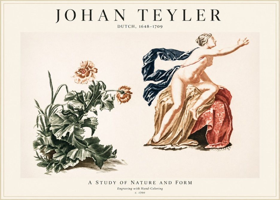 Johan Teyler A Study of Nature and Form No1 - Póster