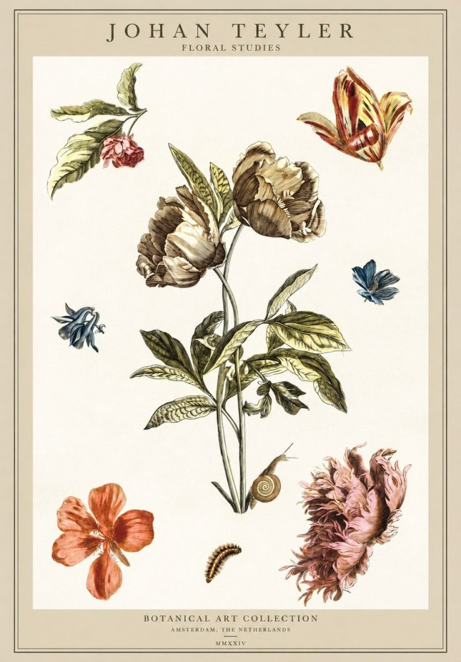 Johan Teyler Floral Studies No1 - Póster