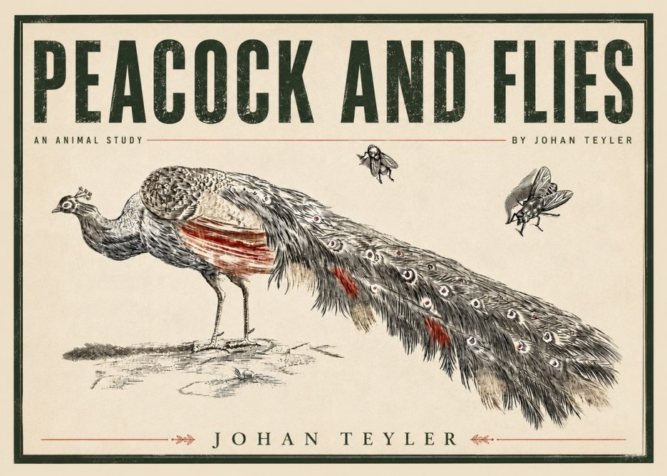 Johan Teyler Peacock and Flies - Animal Study No5 - Póster