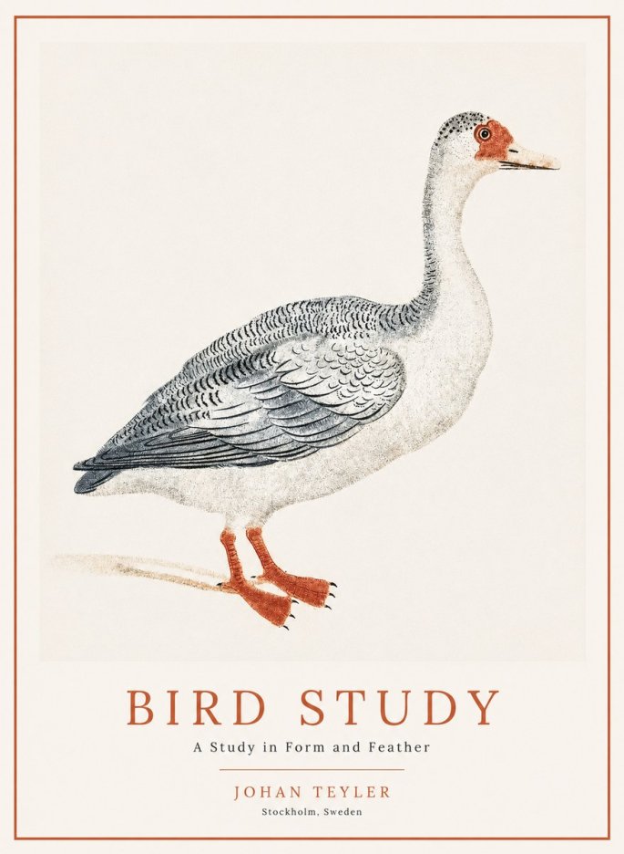 Johan Teyler Goose Study No2 - Póster