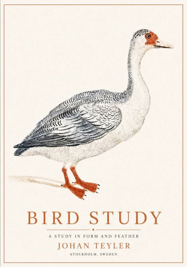 Johan Teyler Goose Study No6 - Póster