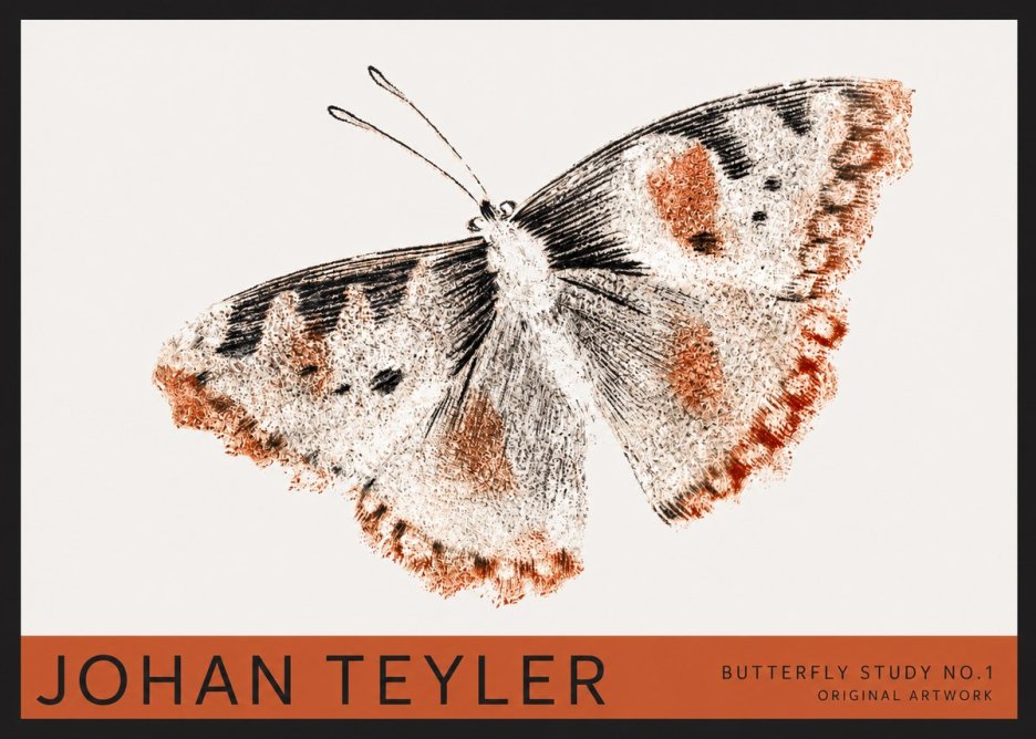Johan Teyler Butterfly Study No.1 No2 - Póster
