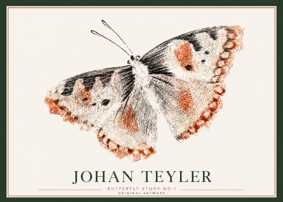 Johan Teyler Butterfly Study No.1 No3 - Póster