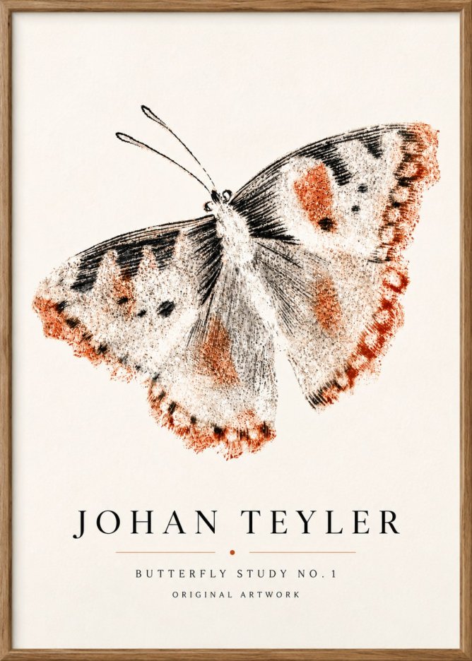 Johan Teyler Butterfly Study No.1 No5 - Póster